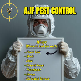 Organic Social Media Post