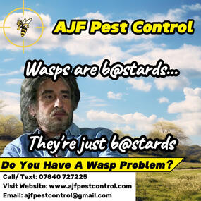 Organic Social Media Post