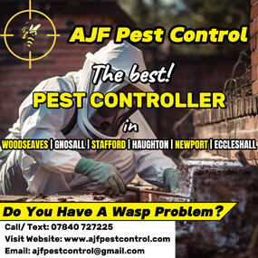 Organic Social Media Post